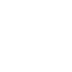 Bolt icon
