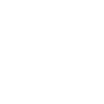 Brick Wall icon