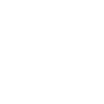 Certification icon
