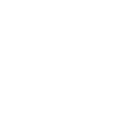 Electric icon
