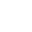 Lightbulb icon