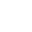 Plate icon