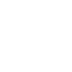 Plug icon