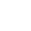 Security badge icon
