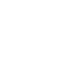 Network icon