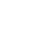 Truck icon