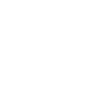 Lorry icon