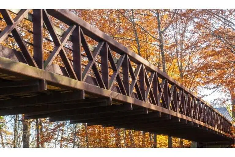 Brown Wooden Footbridge
