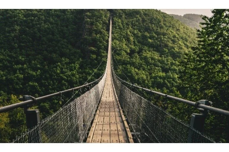 Suspension Bridge leading through a forest