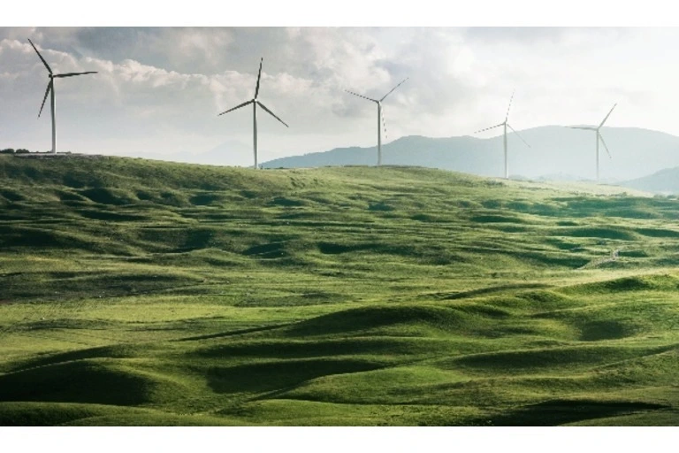 Wind turbines in a green field