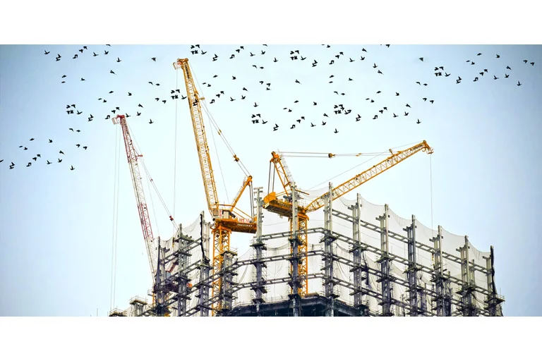 Yellow cranes with a group of birds flying above