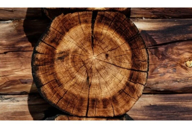 Tree log